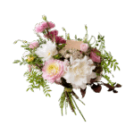 Spring breath flower